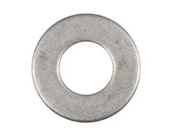 SS 310_310S Washers